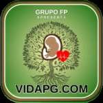 vidapg Official v3.9.6